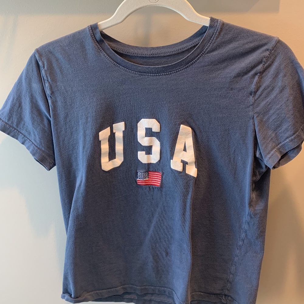 Brandy Melville cropped USA shirt